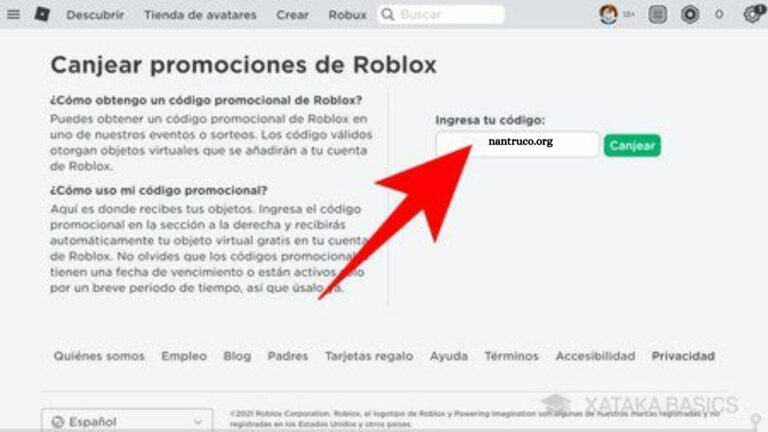 Where to Find Roblox Codes