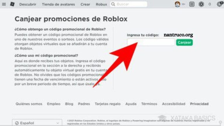 Where to Find Roblox Codes